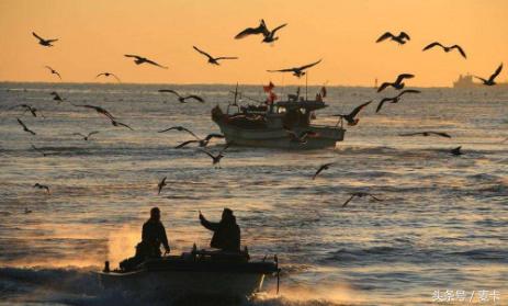 曼联队长坎通纳霸气,曼联队长坎通纳庆祝