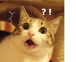 朋友圈代购内容都一样,朋友圈代购需要合作吗