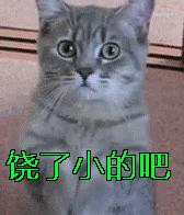 ppt很慢很卡怎么办,ppt启动闪退