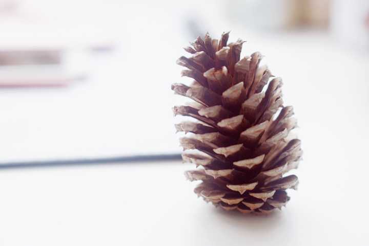 女人是最冲动的物种没有之一！38.9平老公房妹纸租回来任性装修！