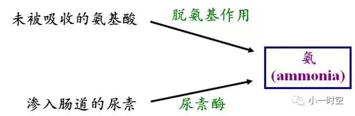 儿童消化不良导致便秘,儿童生病后便秘