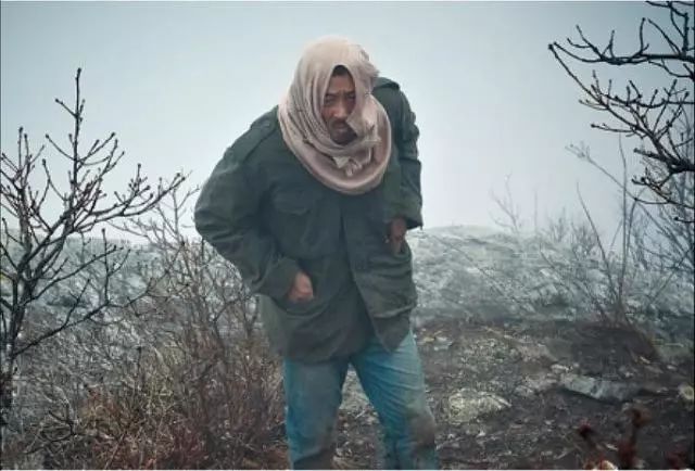 11月电影清单请查收,11月的电影种类繁多