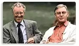 种植牙疼吗最佳答案,种植牙用几年最好