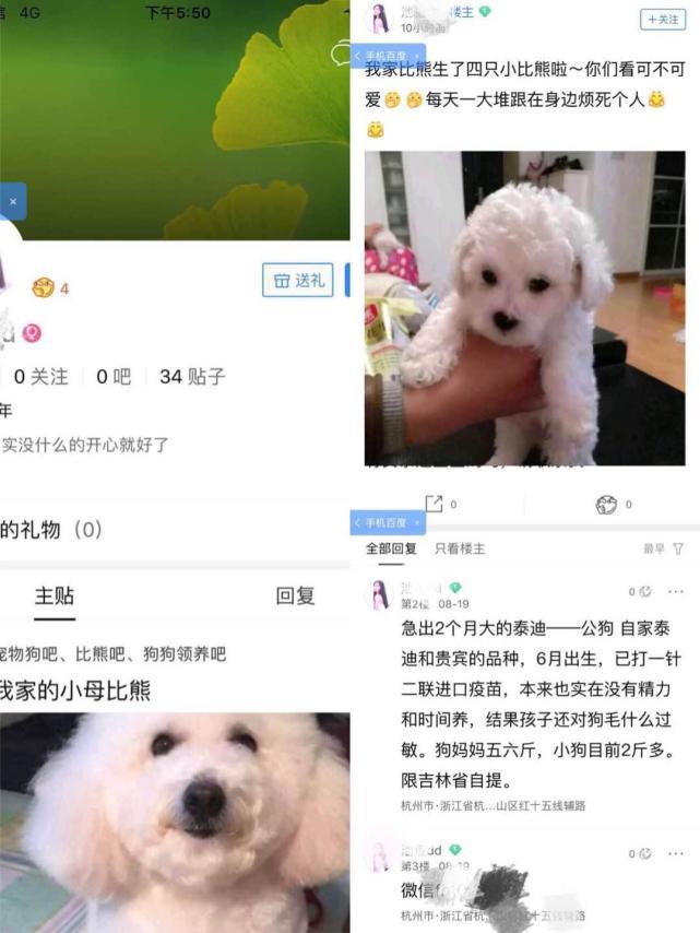 微商卖狗有靠谱的吗,微商卖狗骗局