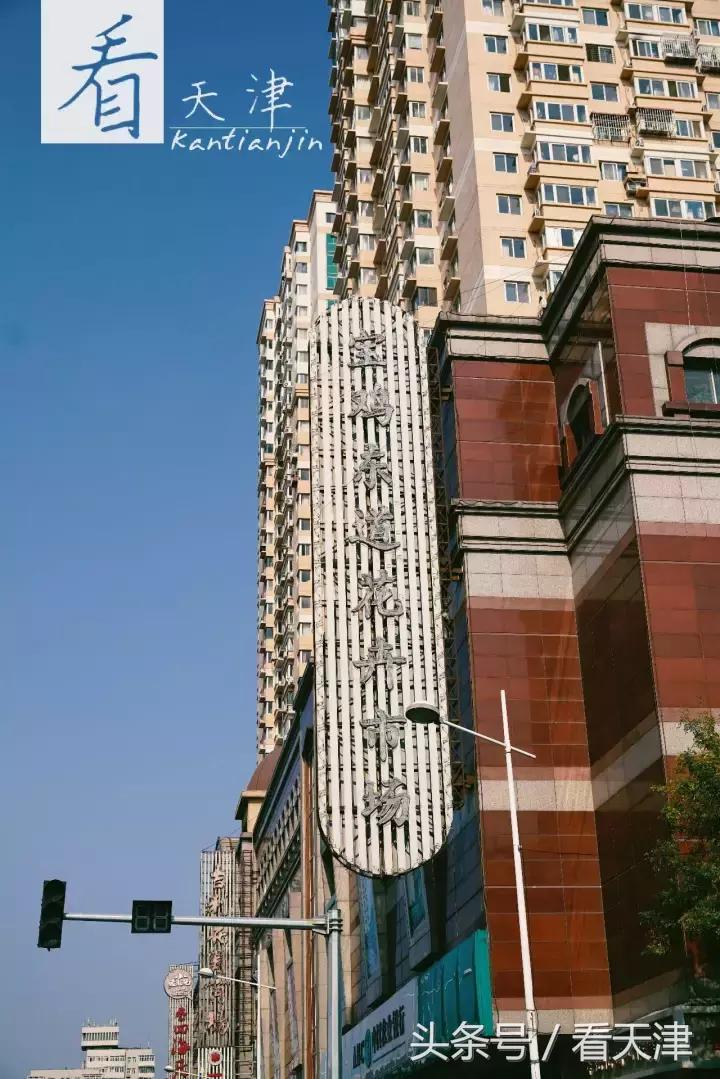 天津宝鸡道花鸟鱼虫市场鹦鹉全吗,天津市宝鸡道花鸟鱼虫市场文玩