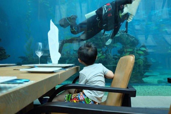 国内亲子游必去的10个海边,假期带孩子去大海旅游推荐