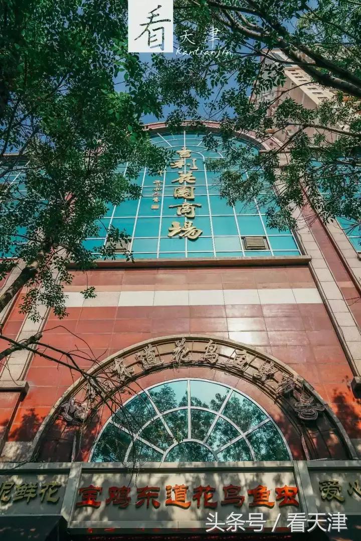 天津宝鸡道花鸟鱼虫市场地铁,宝鸡道花鸟鱼虫市场天津