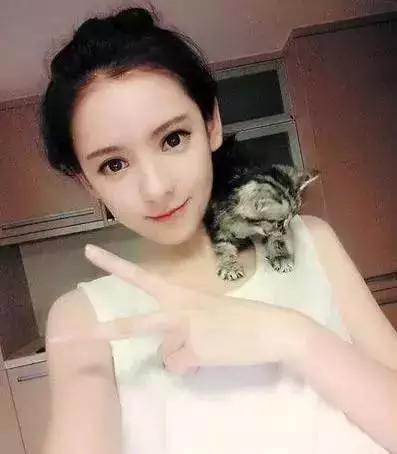 网红王思聪和女伴,王思聪和angelababy关系