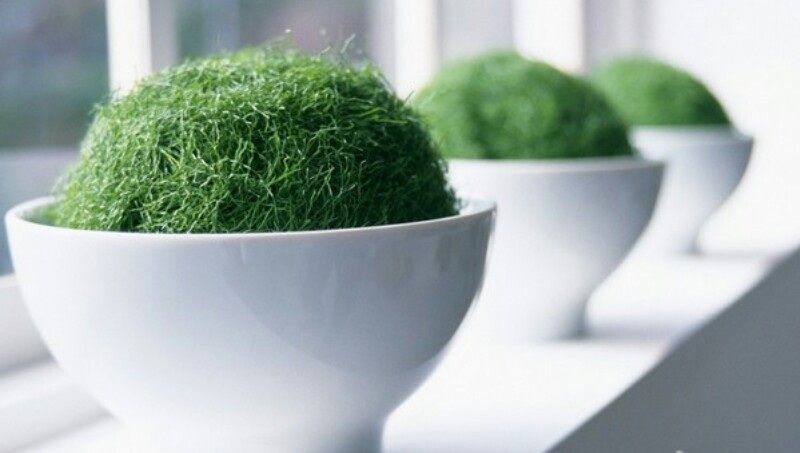 辽宁17岁少女,辽宁叛逆少年成长教育