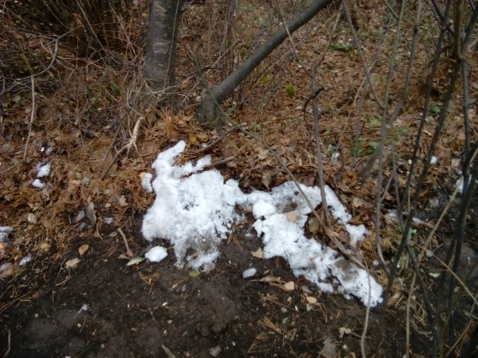 华山一日游图片欣赏大全大图,华山一日游全景图