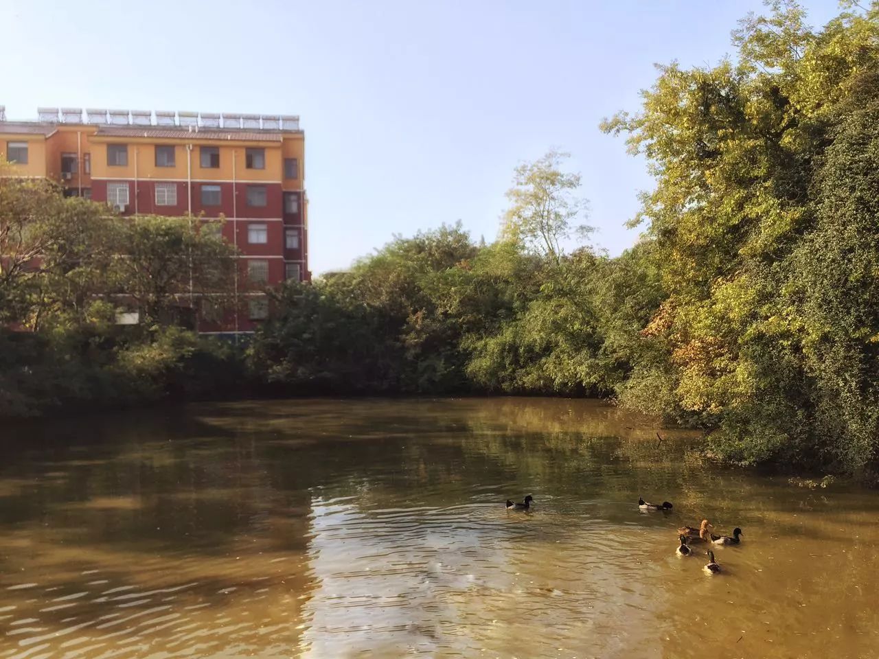 手机摄影作品也可以美不胜收,秋天手机摄影作品欣赏