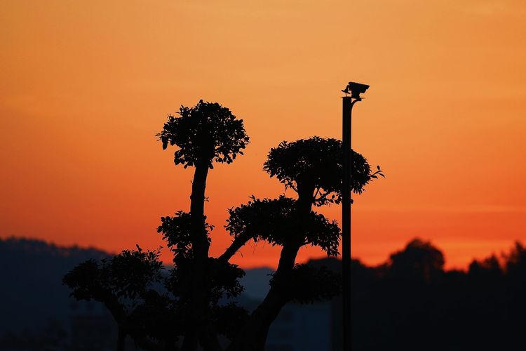 闽中明珠尤溪，八山一水一分田