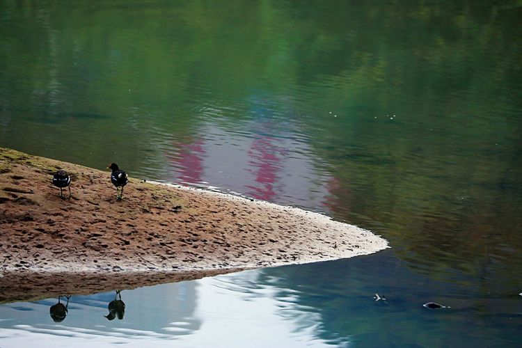 闽中明珠尤溪，八山一水一分田