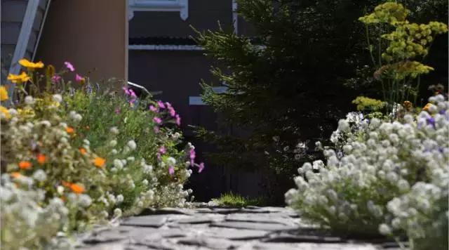 坐火车穿越俄罗斯西伯利亚,欧洲火车途经小镇