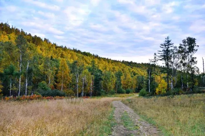 坐火车穿越俄罗斯西伯利亚,欧洲火车途经小镇