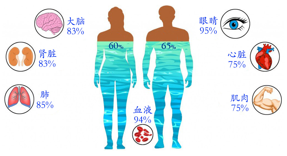 人不喝水能维持多少天,人不喝水极限能活几天