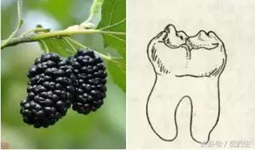 舌尖上的医疗,舌尖上的医疗篇