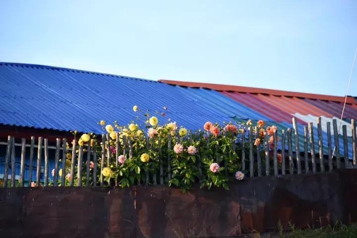 坐火车穿越俄罗斯西伯利亚,欧洲火车途经小镇