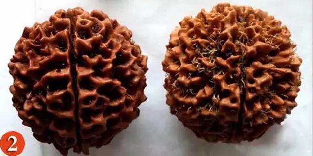 金刚菩提怎么分辨是不是落地红,金刚菩提吊坠识别真假