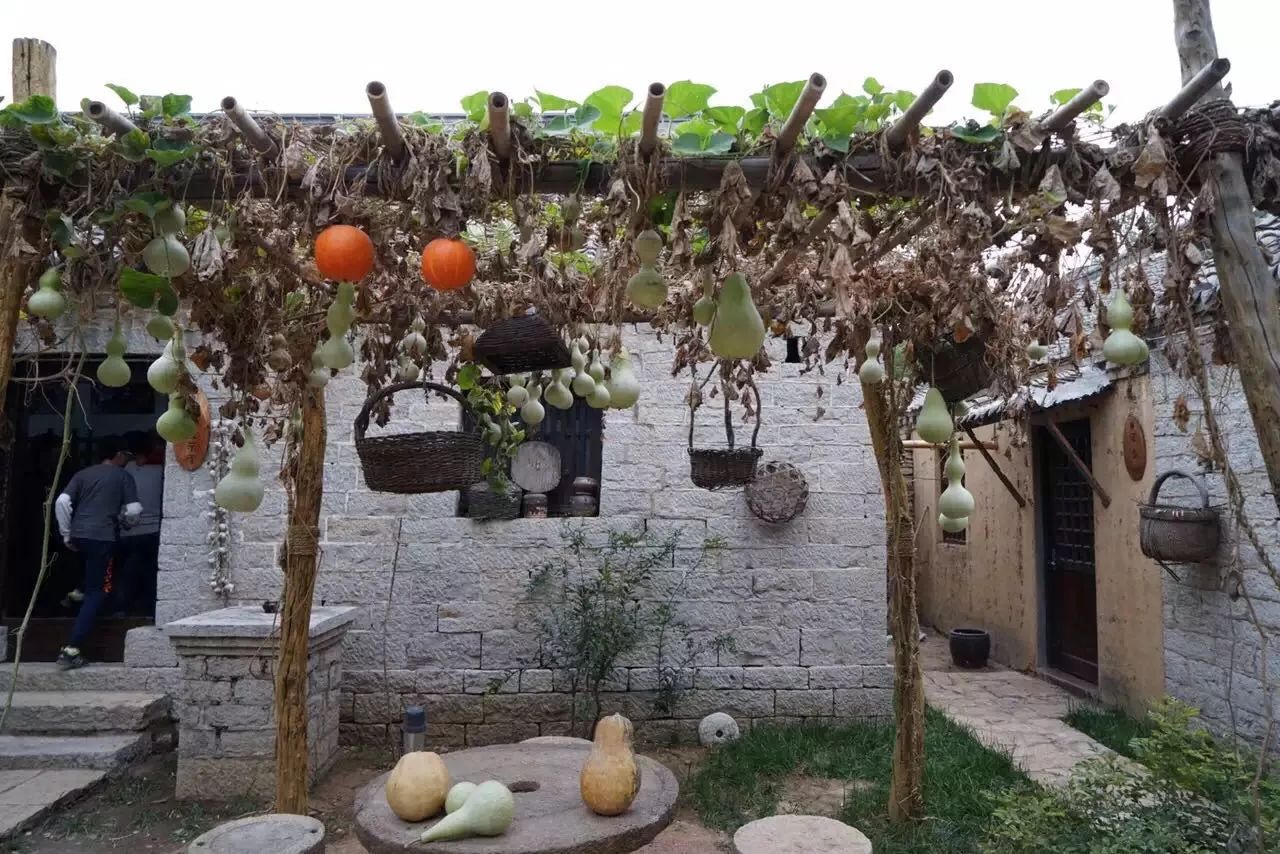 手机摄影作品也可以美不胜收,秋天手机摄影作品欣赏