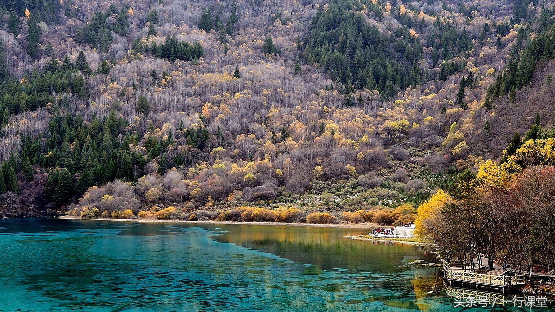 成都话8级考试视频,四川话八级考试高级词汇