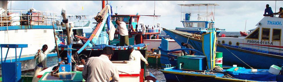 满月岛旅游攻略,满月岛和马尔代夫岛哪个好