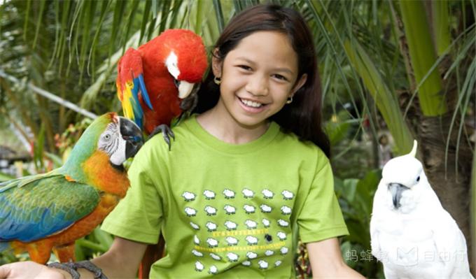 富国岛海岛风景,富国岛最新攻略图