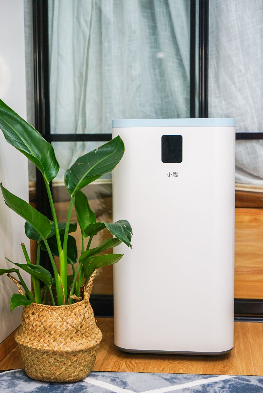 用金子铺成的路,世界第一步行街