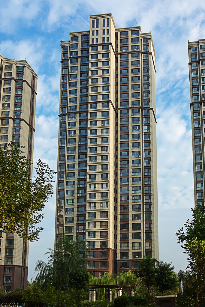 寮犺穬闈欑墿鎽勫奖,寮犺穬鐓х墖