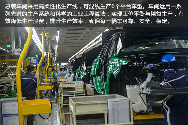 长安福特制造工厂,长安福特杭州工厂车型