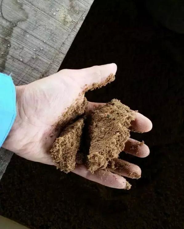 乌龟蛋在自然条件下怎么孵化,养一只乌龟下蛋了能孵化出来吗