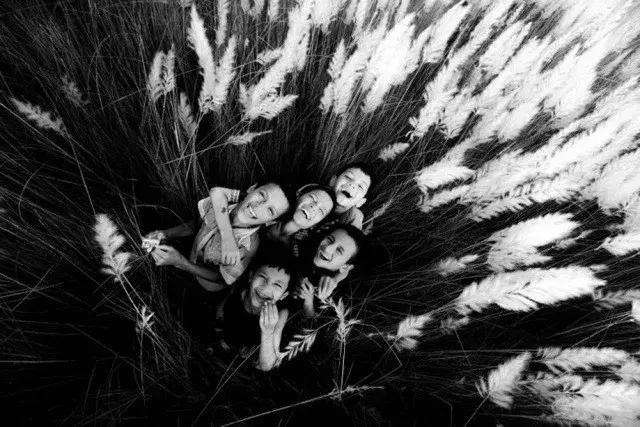 给大家推荐一款好看的滤镜,好用超美的复古滤镜