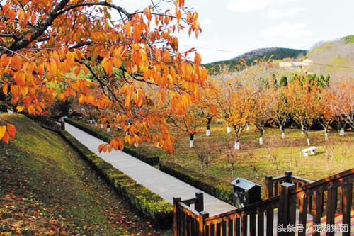 大连安静的风景区有哪些,大连治愈系胜地