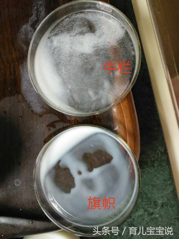 荷兰牛栏对比国产奶粉的优缺点,荷兰牛栏深度水解奶粉水解程度