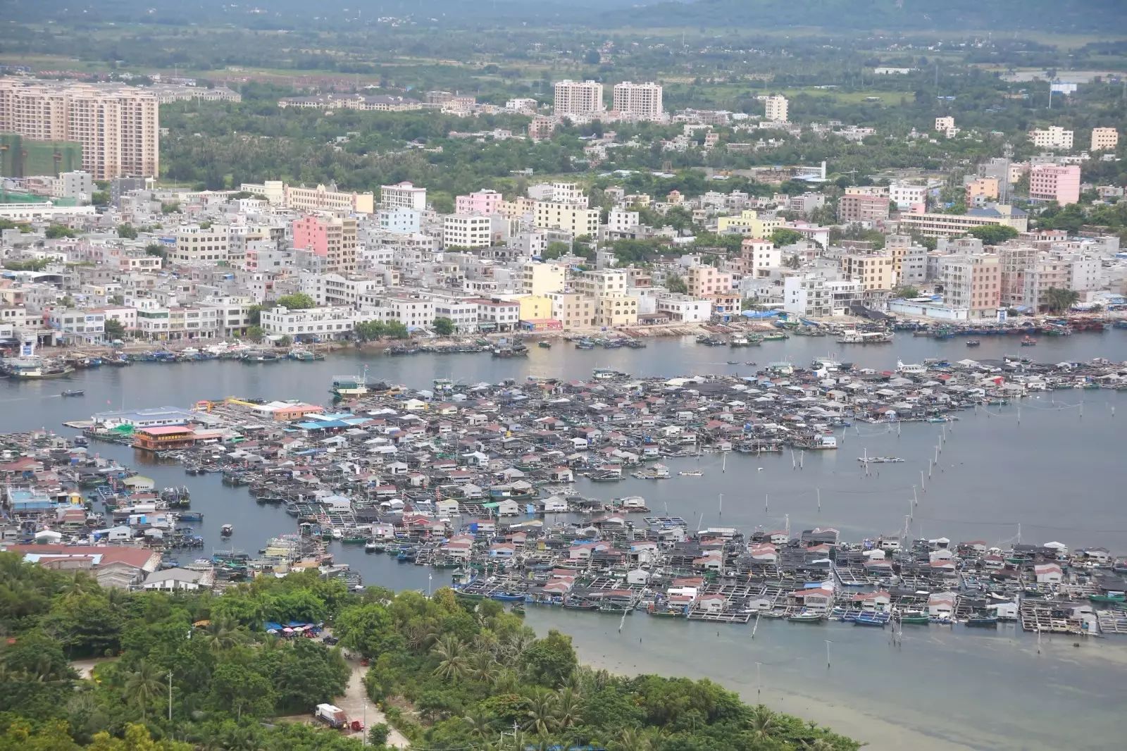 陵水分界洲岛一日游攻略,陵水椰子岛一日游攻略