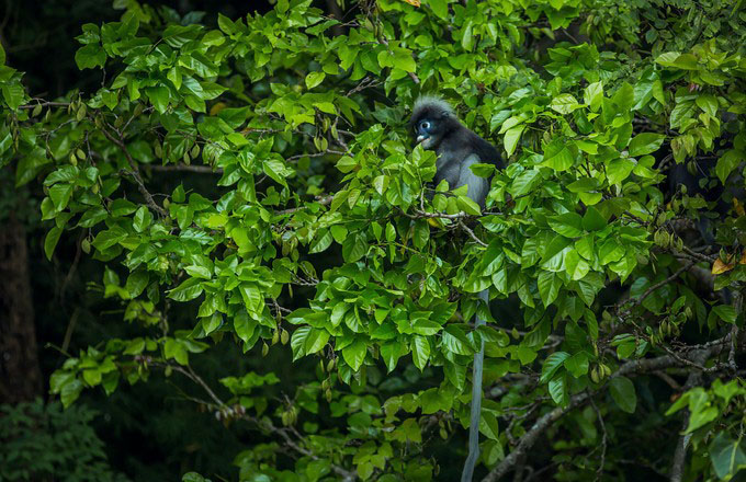 泰国甲米9天自由行 (泰国甲米半岛海上一日游)