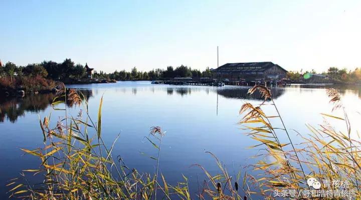 大家好这是我的家英文,大家好这是我的家图片卡通