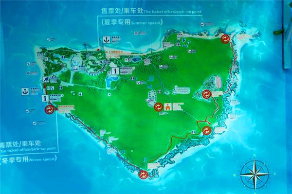 偶遇阳光、海滩在三亚