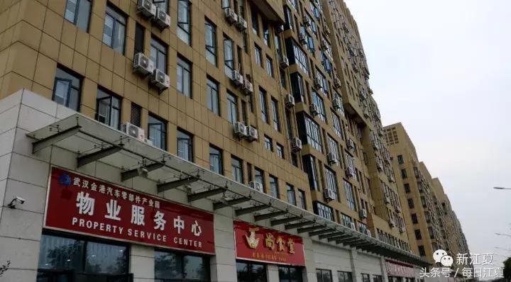 三生融合项目,金港镇滨江新城规划