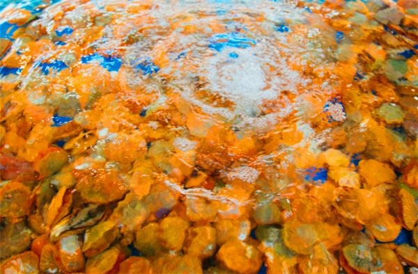 偶遇阳光、海滩在三亚