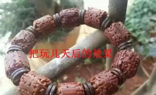 用酱油给金刚菩提上色好吗,菩提金刚籽手串如何变红上色快