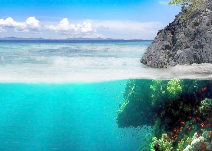 你在职场中干了那么久,知道什么是“方”什么是”圆“吗?