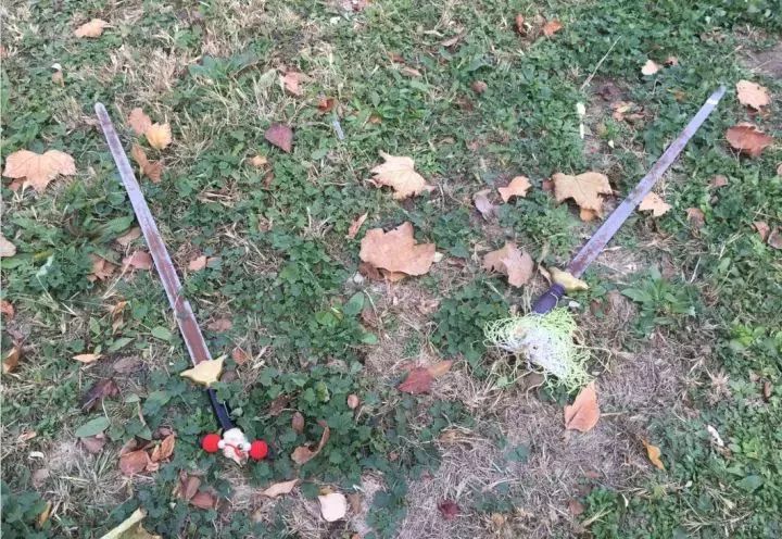 天津体育学院卫津南路51号,再见了天津视频