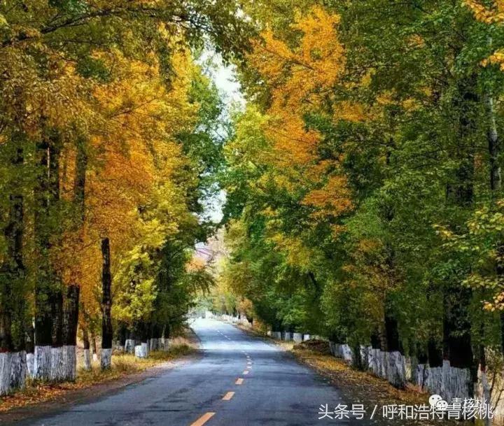 大家好这是我的家英文,大家好这是我的家图片卡通