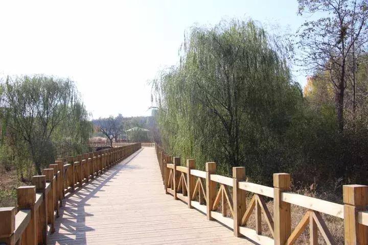 一样的乡愁,一样的乡愁原唱是谁