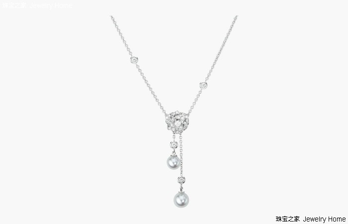 伯爵花园内的玫瑰等你来采摘