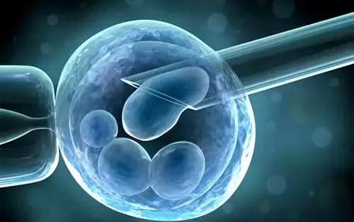 钟丽缇喝苏打水求子，你想生男还是生女？