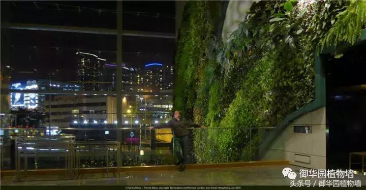 植物大战僵尸之父是中国人,植物墙创始人