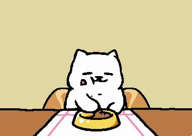 一只普通橘猫的成长史,橘猫的真实成长