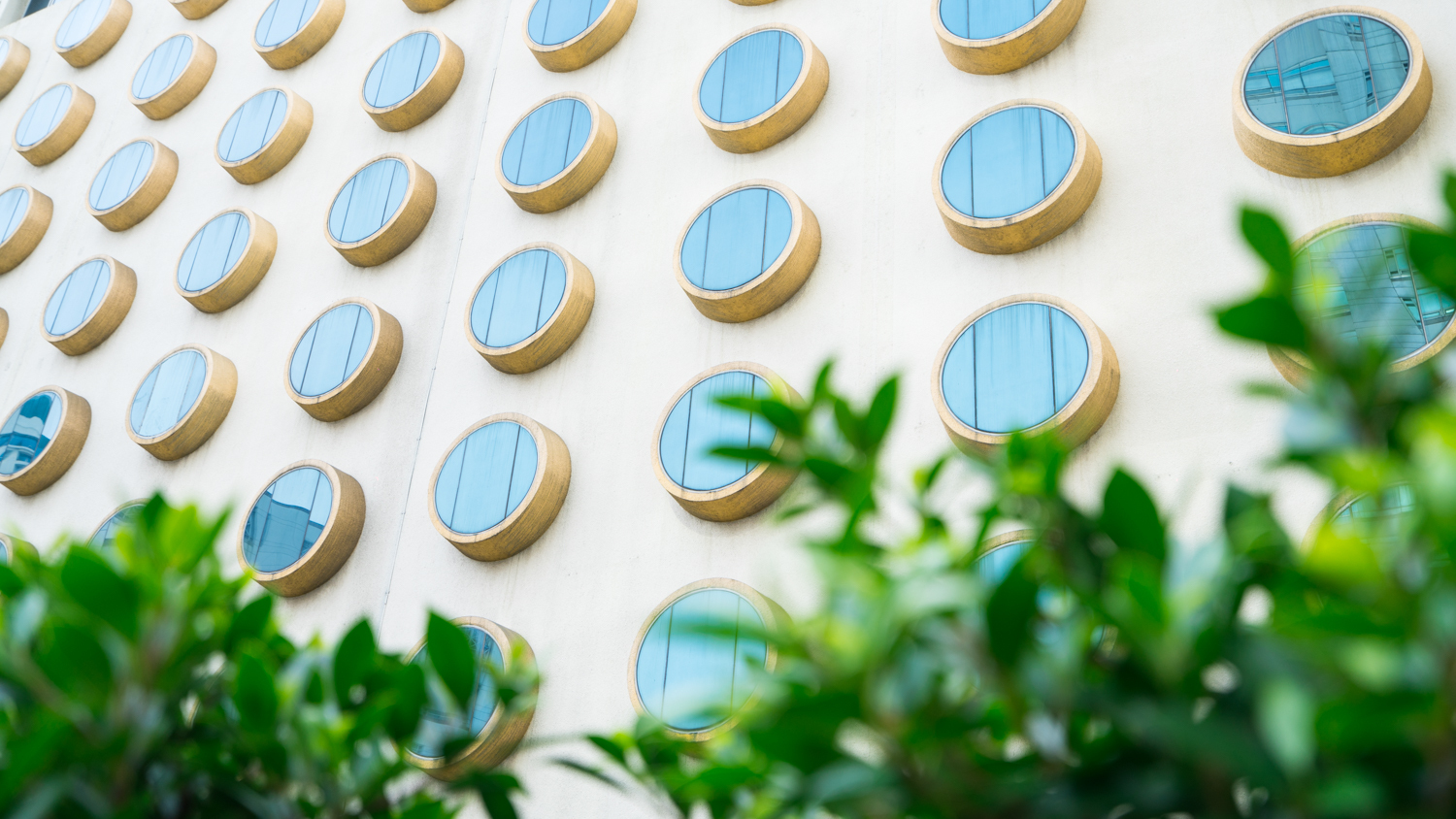 玩转芭提雅,玩转曼谷攻略